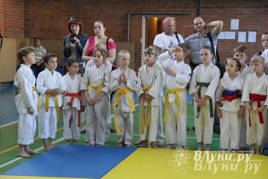 Великолучане стали победителями турнира по каратэ «Неприкосновенный запас, дети — Отчизны 2015» (фото)