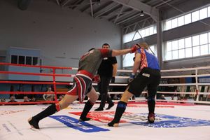 Открытый кубок по смешанному боевому единоборству ММА прошел в Великих Луках (ФОТО)