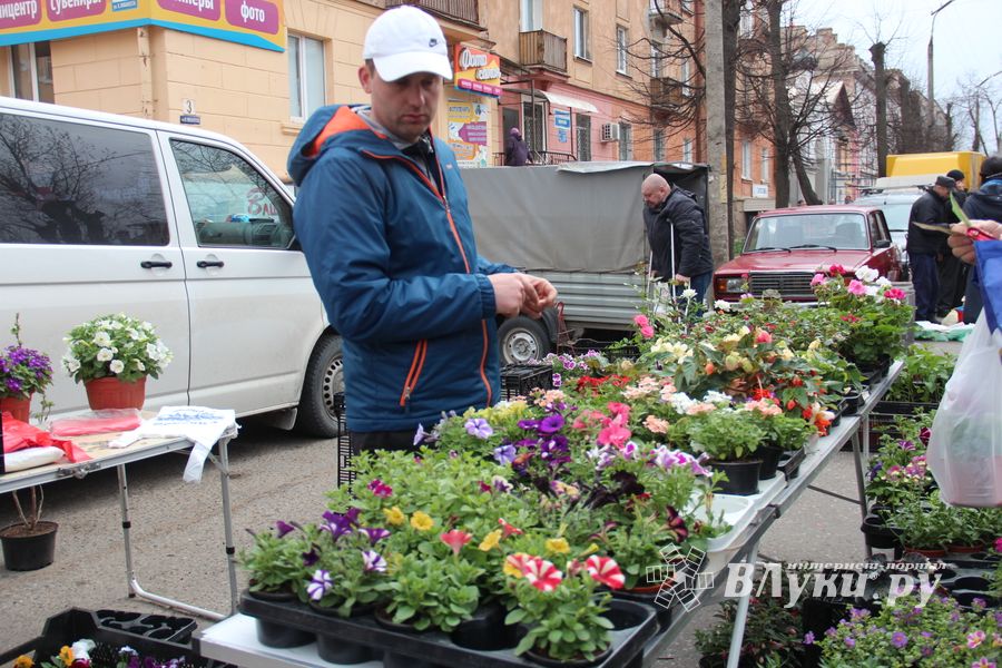 В Великих Луках прошла универсальная ярмарка «Весна-2019» (ФОТО)
