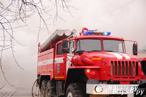 При пожаре в великолукском ГСК пострадали два автомобиля