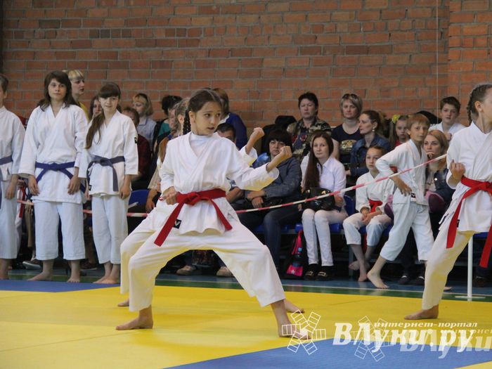 Великолучане стали победителями турнира по каратэ «Неприкосновенный запас, дети — Отчизны 2015» (фото)