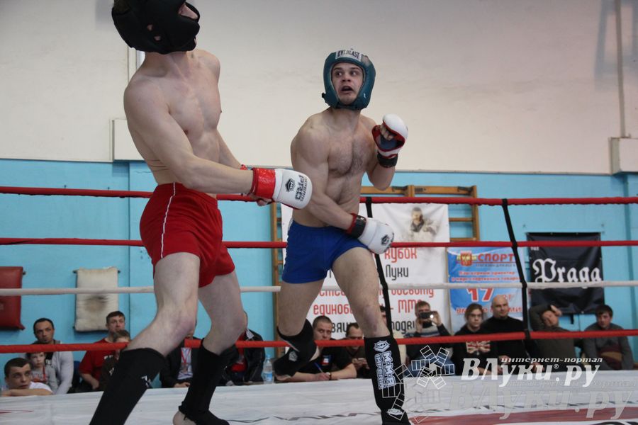 Открытый Кубок города Великие Луки по смешанному боевому единоборству (ММА)