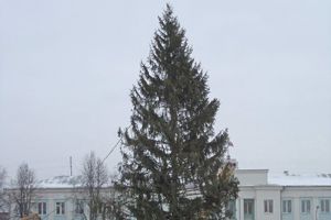 Город готовится к Новому году