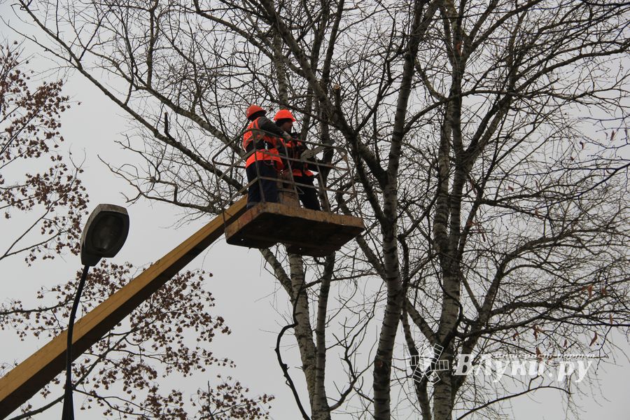 Возле железнодорожной больницы облагораживают сквер (ФОТО)