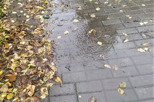 ©ВЛуки.ру