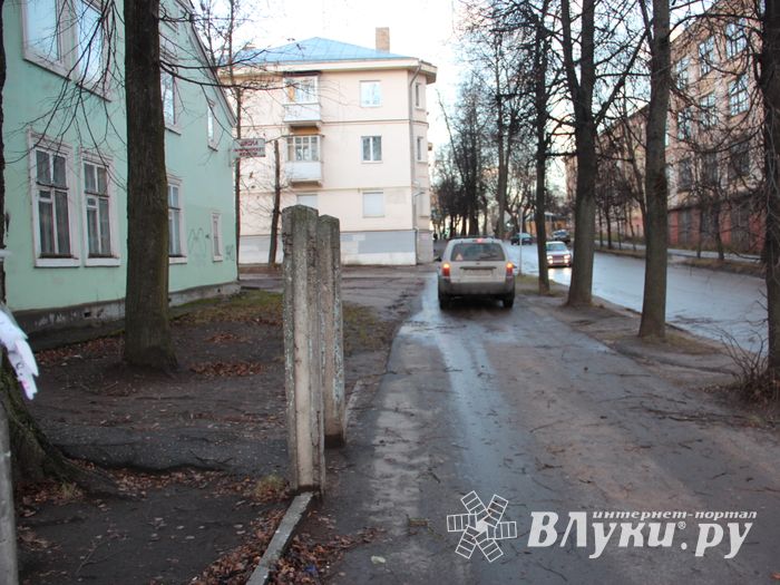 В Великих Луках дерево упало на проезжую часть