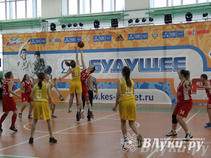 Чемпионат ШБЛ «КЭС-БАСКЕТ» сезона 2013-2014 гг. Псковской области