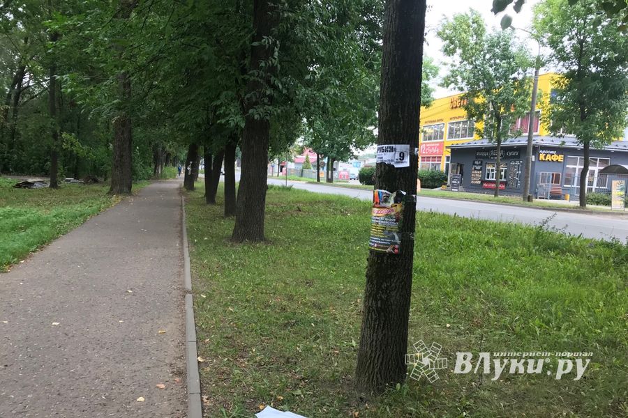 «Прибинтовали» скотчем (ФОТО)