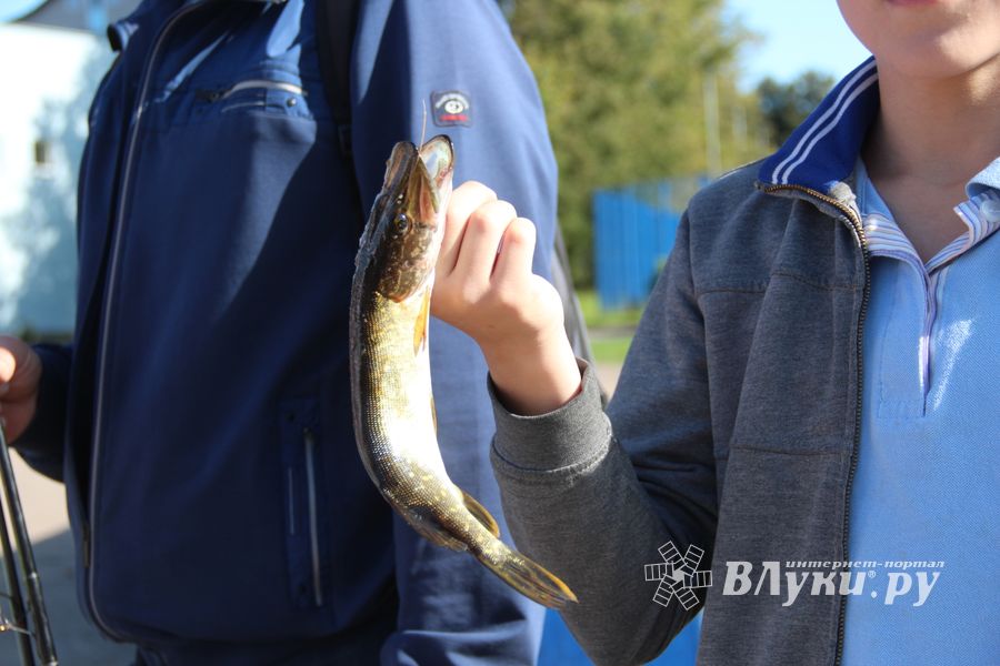 Большой спортивный праздник в Великих Луках (ФОТО)