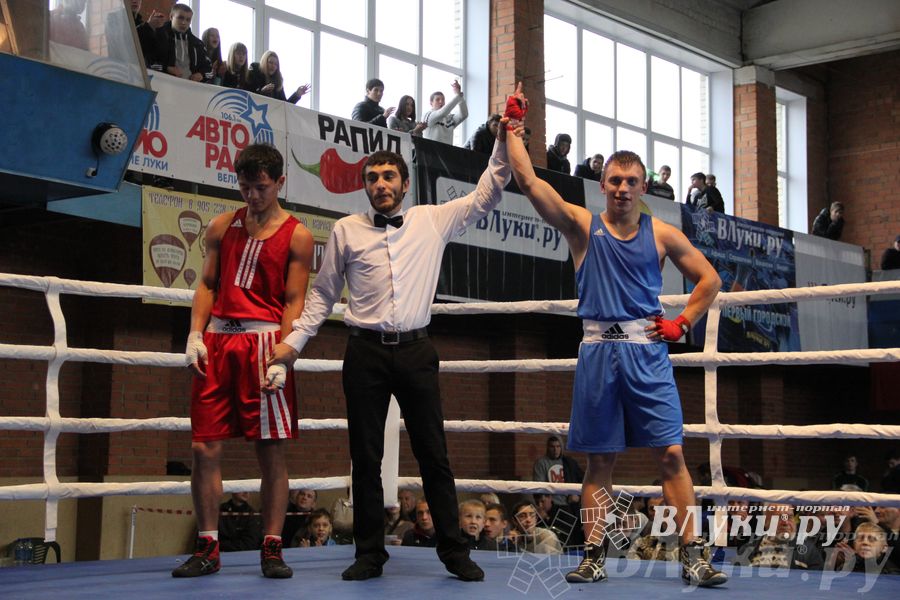 16-й Международный турнир по боксу (фото)