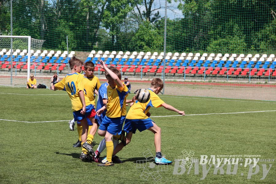 «Локобол-2013» в Великих Луках