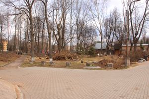 В городском парке орудует дробилка (ФОТО)