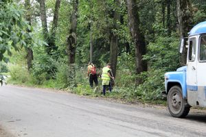 В Великих Луках косят (ФОТО)