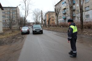 Спецслужбы проверили подозрительный предмет в Великих Луках (ФОТО)