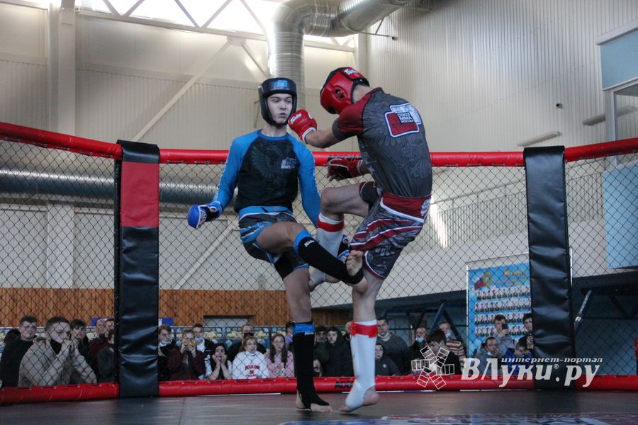 Фестиваль боевых искусств прошел в Великих Луках (ФОТО)