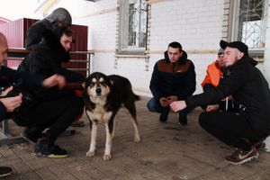 Черныш, спасённый из ледяной воды, ищет хозяина (ФОТО)