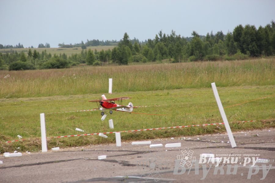 В Великих Луках прошли воздушные бои (фото)