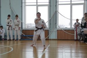 В Великих Луках прошел  турнир по Шотокан каратэ