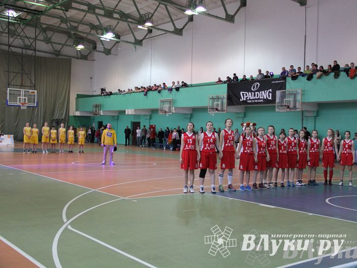 Чемпионат ШБЛ «КЭС-БАСКЕТ» сезона 2013-2014 гг. Псковской области