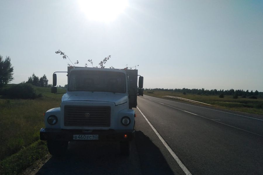 Подробности ДТП с пострадавшим на трассе М-9 в Великолукском районе (ФОТО)