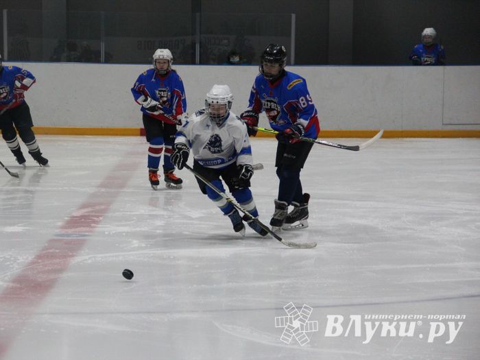 В Великих Луках прошел детский Открытый турнир по хоккею (ФОТО)
