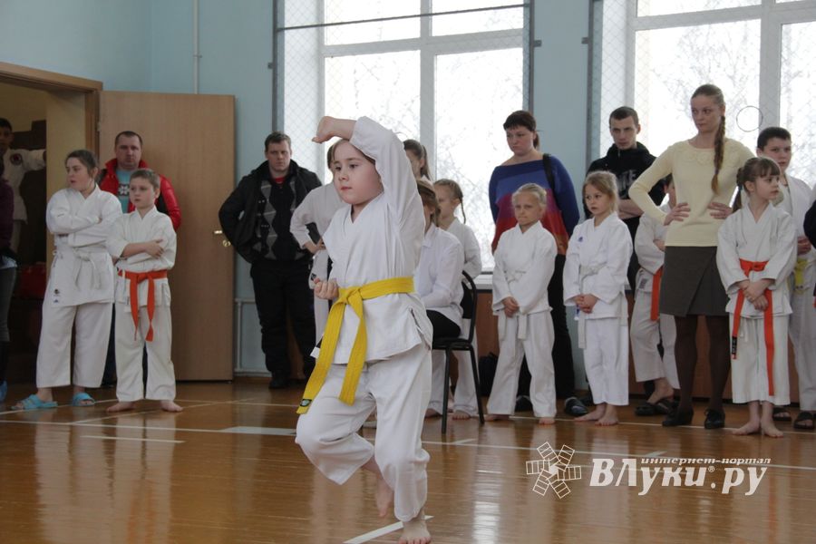 В Великих Луках прошел  турнир по Шотокан каратэ