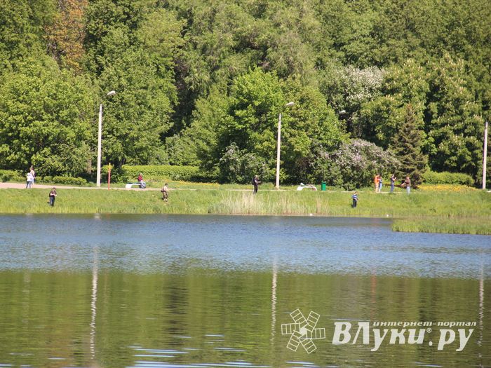 В Великих Луках состоялся Чемпионат города по ловле рыбы спиннингом (ФОТО)