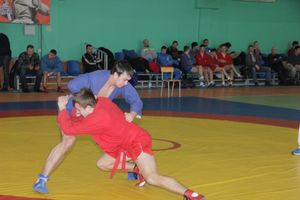 В Великих Луках прошел турнир по самбо, посвященный подвигу Александра Матросова (ФОТО)