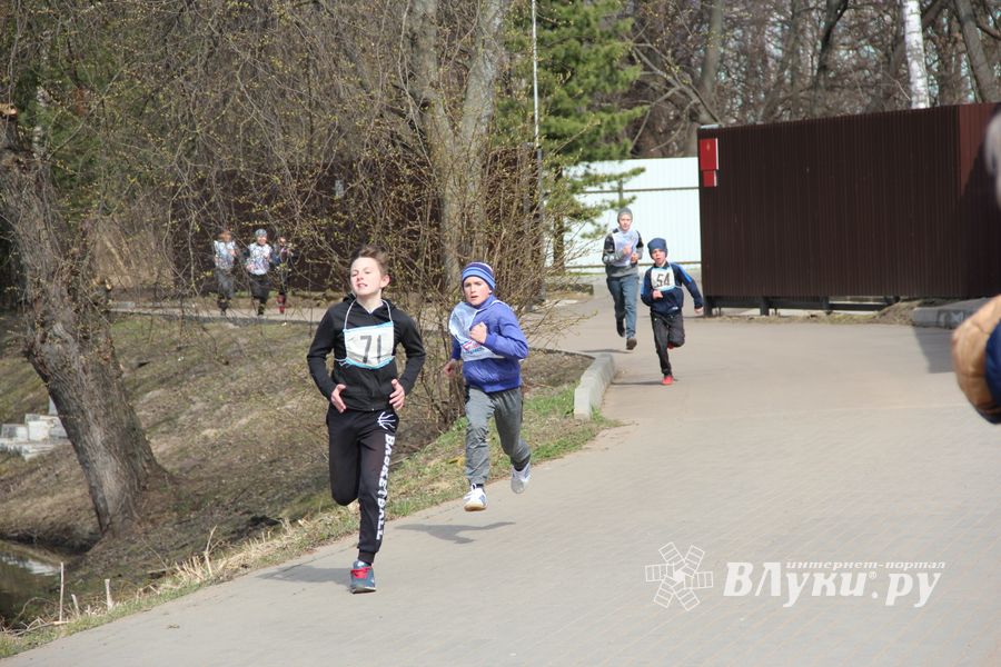В Великих Луках прошёл легкоатлетический кросс (ФОТО)
