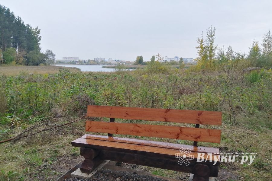 В Великих Луках создали «Парк под открытым небом» (ФОТО)