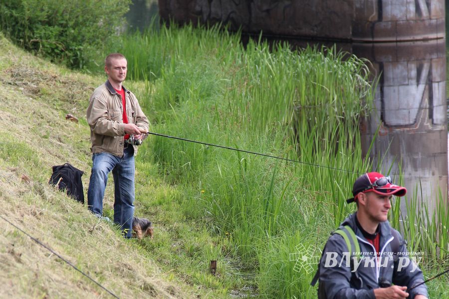 Чемпионат Великих Лук по ловле спиннингом: клевала, но мало (ФОТО)