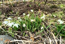 Прогноз погоды на 2 апреля в Великих Луках