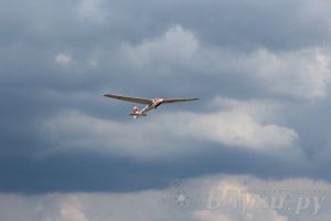 IV Фестиваль авиамодельного спорта России в классе радиоуправляемых моделей