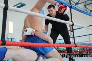 Чемпионат Псковской области по ММА