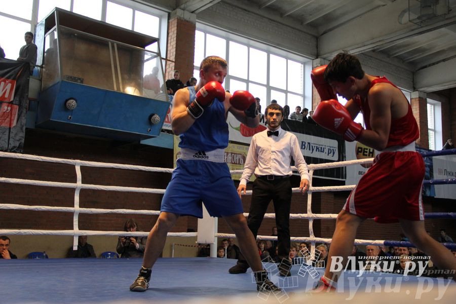 16-й Международный турнир по боксу (фото)