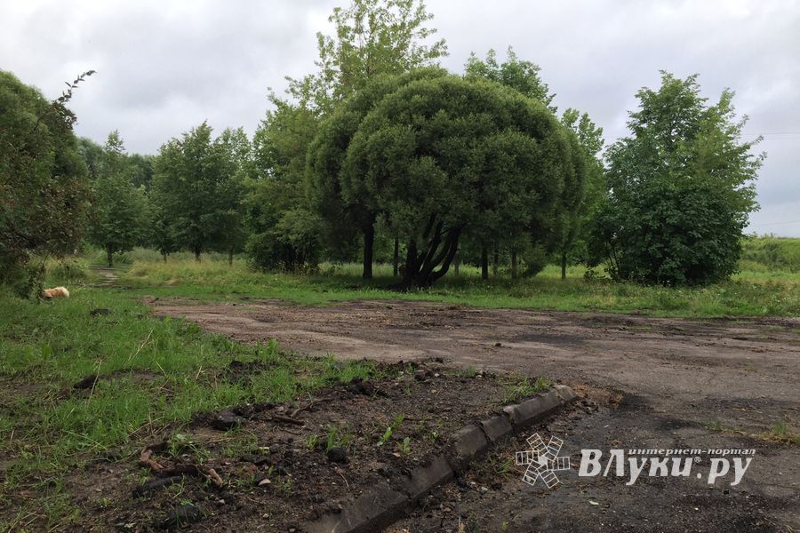 Сквер у автовокзала в Великих Луках обновился (ФОТО)