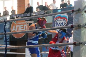  XV Международный турнир по боксу памяти Заслуженного работника физической культуры России Евгения Афанасьевича Клевцова