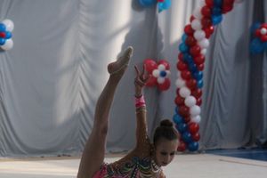 ​В Великих Луках проходят соревнования по художественной гимнастике (ФОТО) (6+)