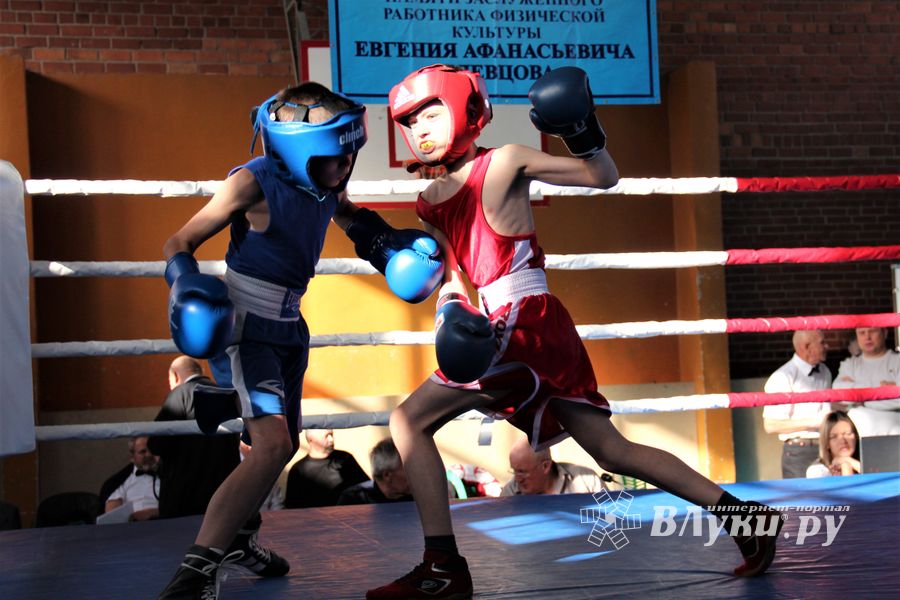 Второй день турнира по боксу складывается для великолучан удачно (ФОТО)