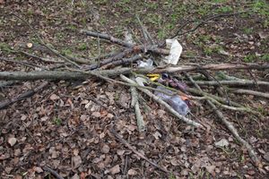 Городские СМИ провели субботник (ФОТО)