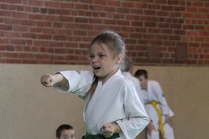 Турнир по каратэ