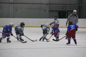 Детский турнир по хоккею прошел в Великих Луках (ФОТО)