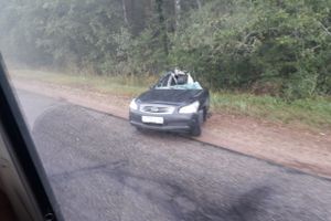 На трассе Великие Луки-Невель произошло ДТП (ФОТО)