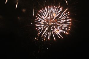 В Великих Луках зажглась новогодная ёлка (ФОТО)