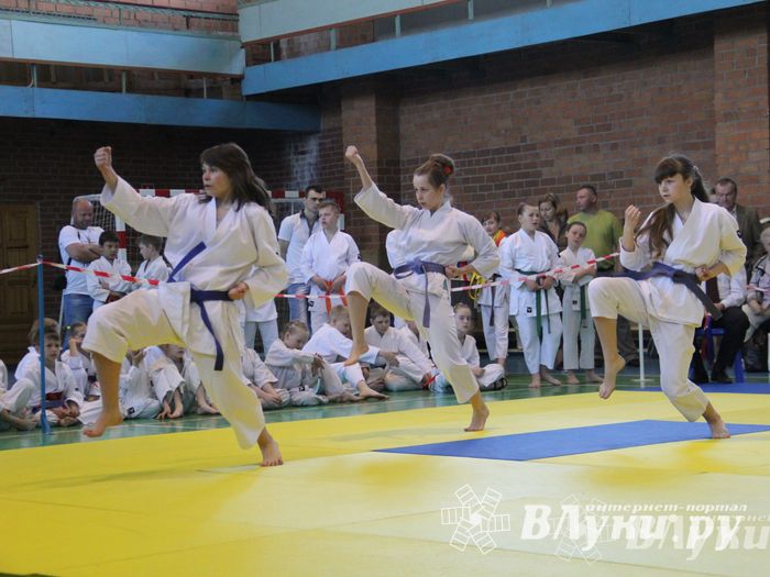 Великолучане стали победителями турнира по каратэ «Неприкосновенный запас, дети — Отчизны 2015» (фото)