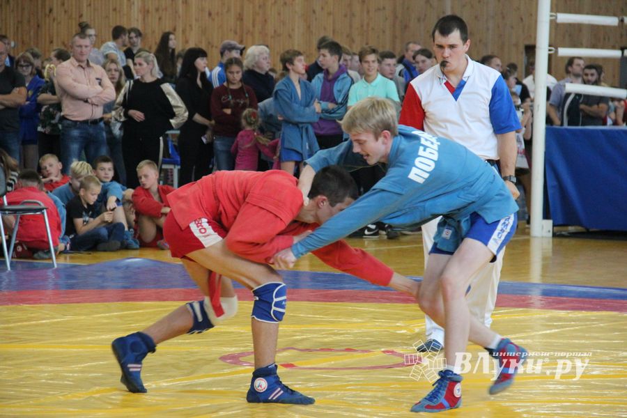 1-й Фестиваль боевых искусств состоялся в Великих Луках  (ФОТО)