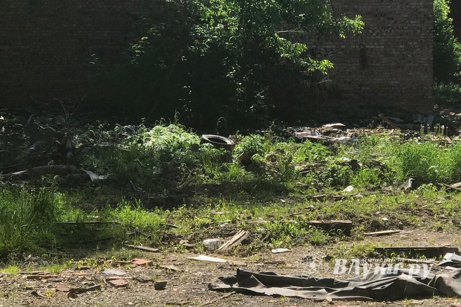 В Великих Луках снесенные дома превращаются в свалки (ФОТО)