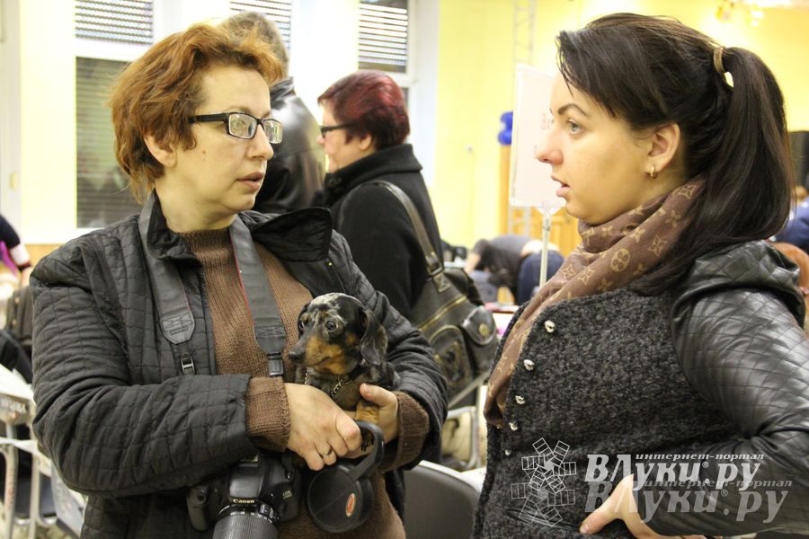 Всероссийская выставка собак в Великих Луках (фото)