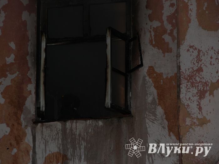 Пожар на ул. Герцена в Великих Луках (ФОТО)