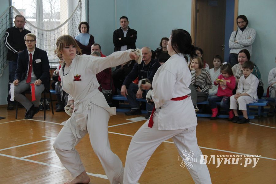 В Великих Луках прошел  турнир по Шотокан каратэ